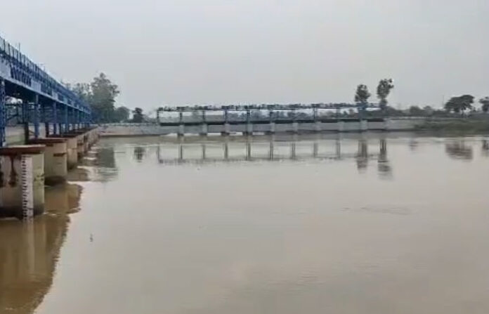 content_image_97318c50-aec7-44bb-b667-a5569b1388e9