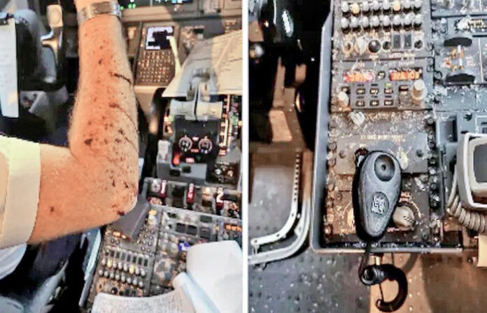 content_image_adc14c58-7a3b-41a3-a1fb-e65bc947f9bb