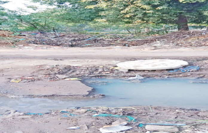 content_image_b64c07bc-9afd-49c5-882e-85f87e70ab49