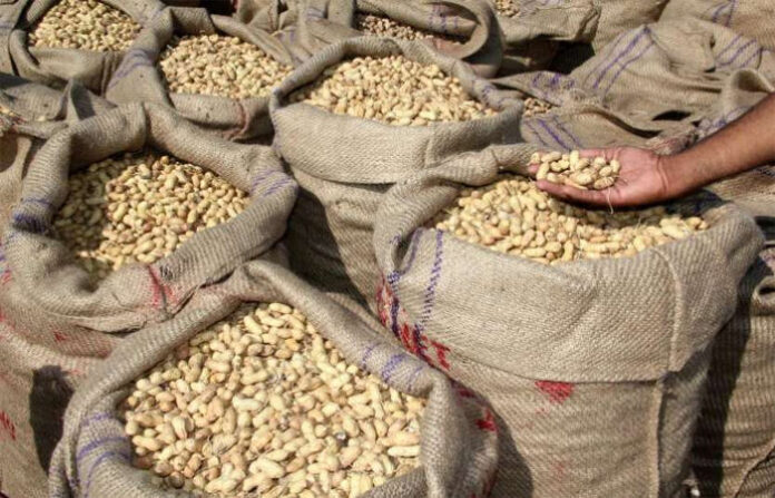 content_image_d3df1d6a-c34d-401e-b5a3-ed747d41ad03