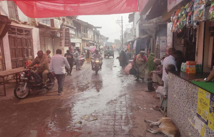 content_image_d7edc1ca-074b-4dc5-a9a0-93681fde71ef