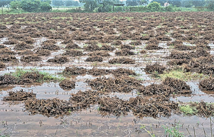 content_image_dc93503e-9e0f-41dd-9c6a-74fcac0dc4f0