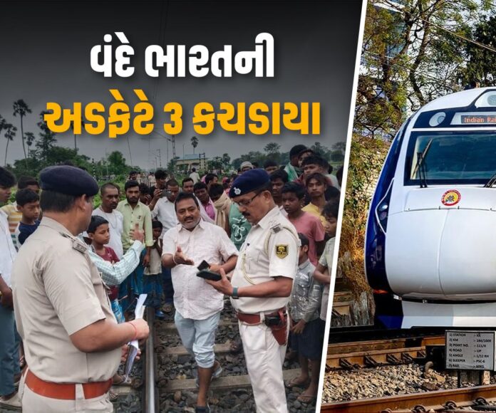 content_image_ef489472-3317-4eb4-8691-90bab931d39a