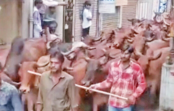 content_image_f43e784d-4943-4df9-aac7-b94fcac83d26