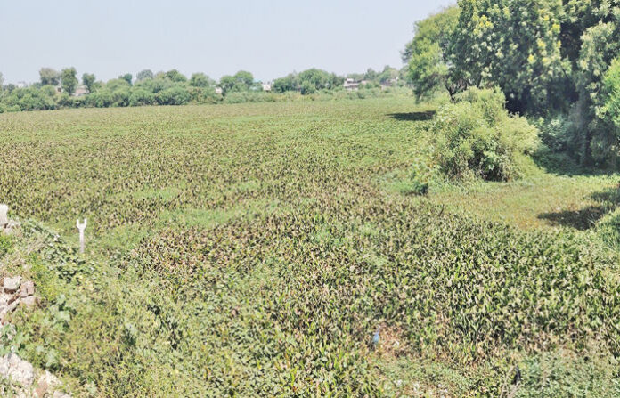 content_image_fc9497ab-2df8-4452-bc31-115a7e01c897