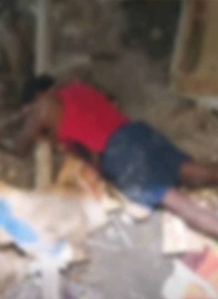 0098fedc-5551-4f95-9f31-36b16309ec61