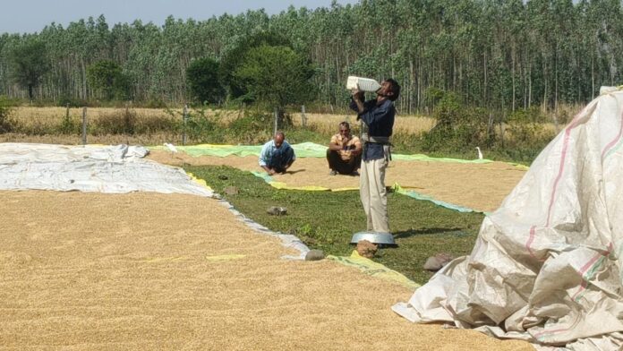 0ccc0ad8-376f-4437-8665-71b8110c0fc8