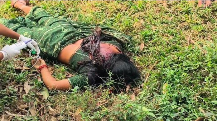 3c39f4b9-90b0-4846-82f1-ead40c39cb66