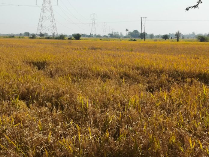 543df1d2-aad2-4ba1-93b3-a9036f15f159