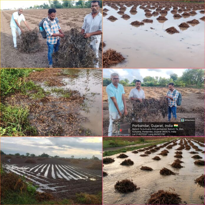 6622280e-0ad6-4ab7-8c46-44ba9bbe9e43