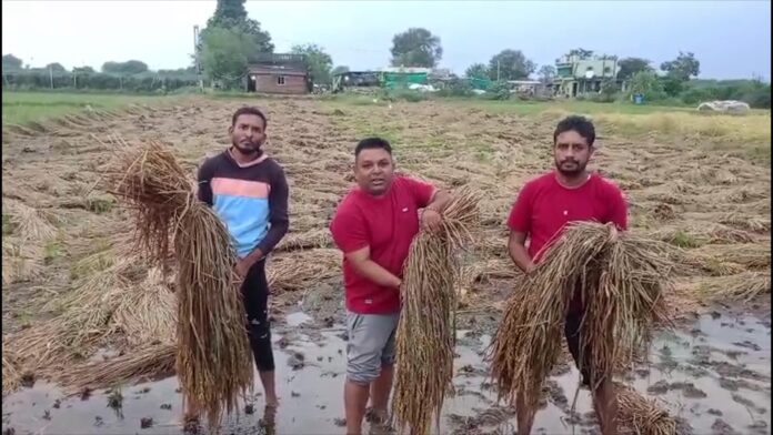 82d58072-6469-401b-a87a-a1617065a6da