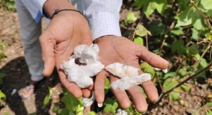 8b1fda9f-5a39-496c-a19b-fc217ced2ba8