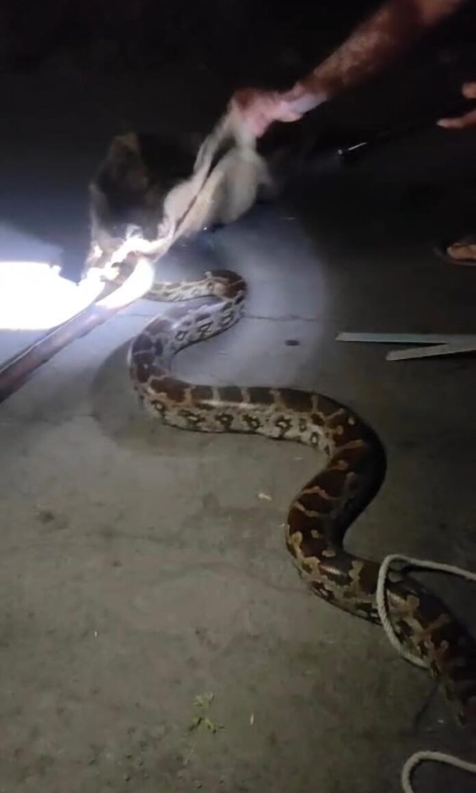 9375b9c9-798a-424a-9e17-550193f10dc6