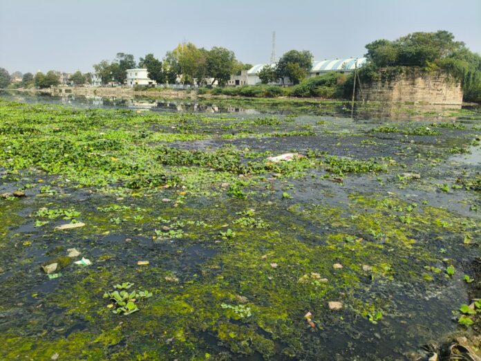 98481297-f036-422f-bfc4-a33f0e2be59d