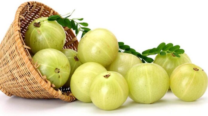 amla-gooseberries