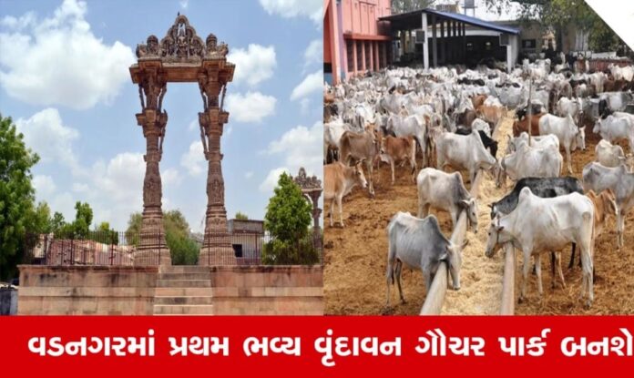 bqB9MpXZU7eWDOL5DNzK0dbbUXYcNE5oPAZc82sN