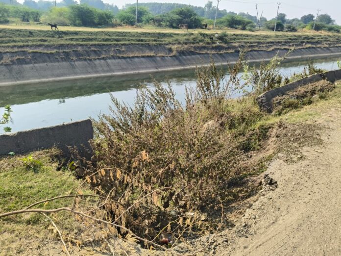 c207fca1-b239-43f0-a6bd-482a32450df4