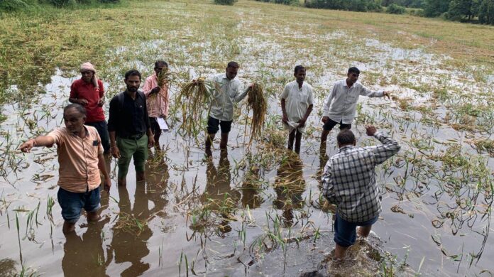 c7992cfe-680f-4886-9e38-b4e30bb6f905