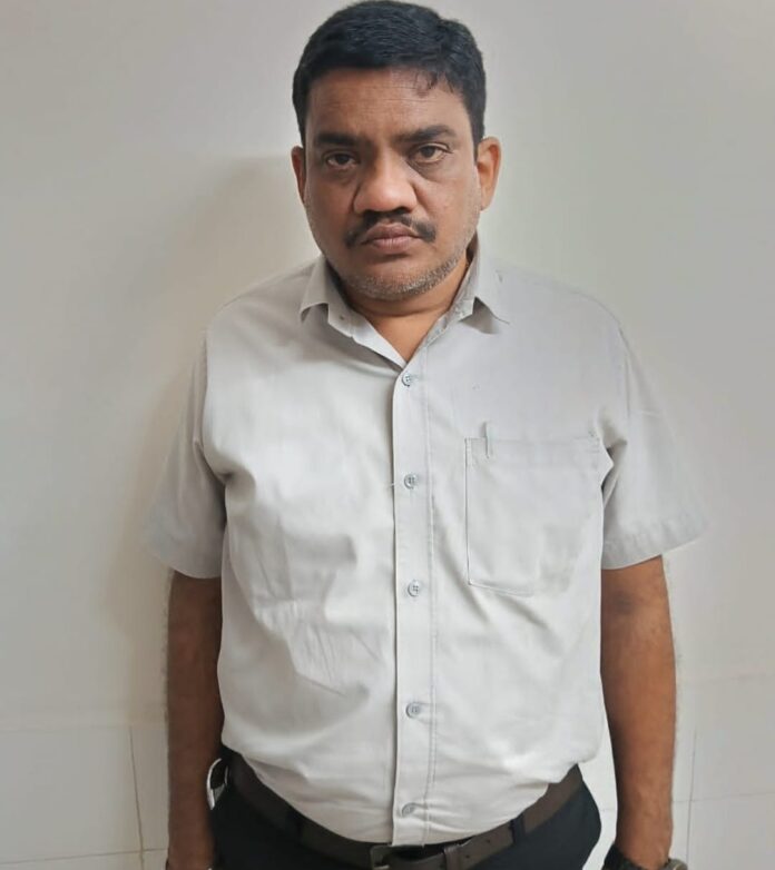 cc038182-49c4-49c9-99c3-ec00c2558af2