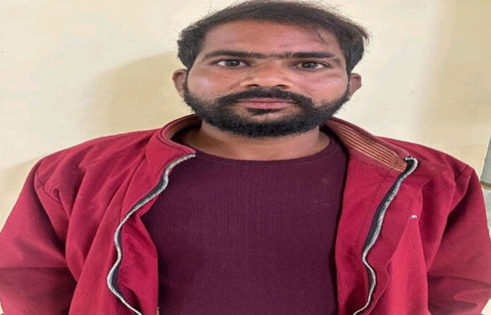 content_image_0c8ad1f3-03f6-44ac-b48e-272fd18ca68e