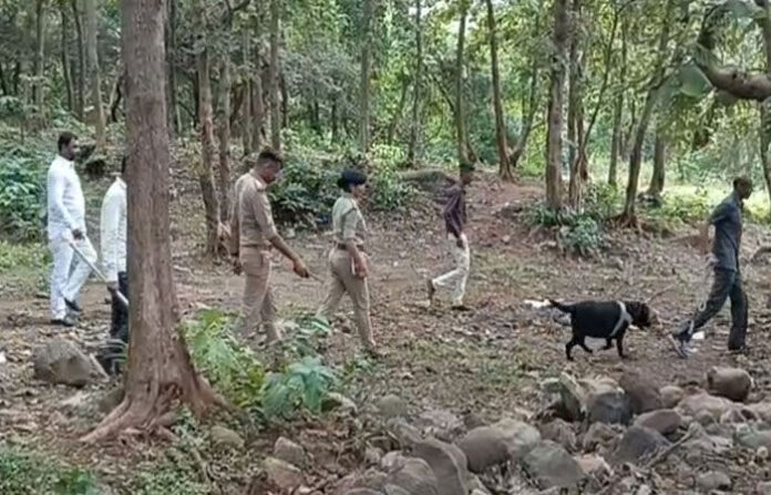 content_image_16940b04-d433-46e0-a6f3-bfe65f2919ab