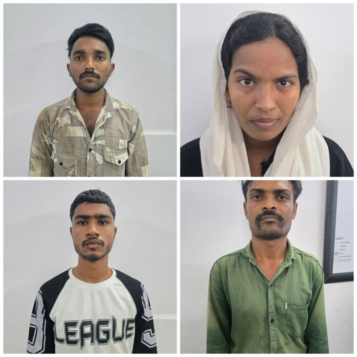 content_image_21471e0c-9823-440f-854f-3ed0a4892a29