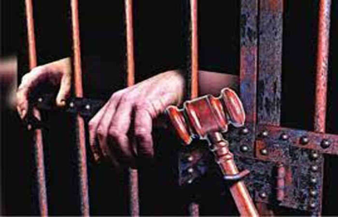 content_image_217d2169-5bf6-4511-a333-084f6cee9358