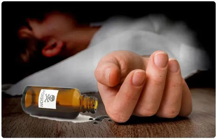 content_image_238c2c09-cfce-46be-a0ad-58e08b64b412