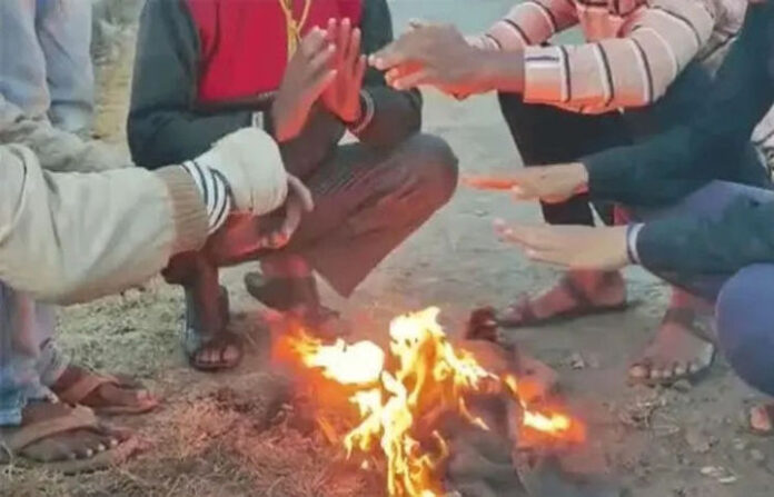 content_image_35a3f30b-d211-4118-938a-15127ddfcc7f