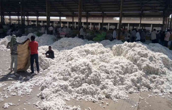 content_image_602a6db8-af1a-4319-8db9-1033832a03c3