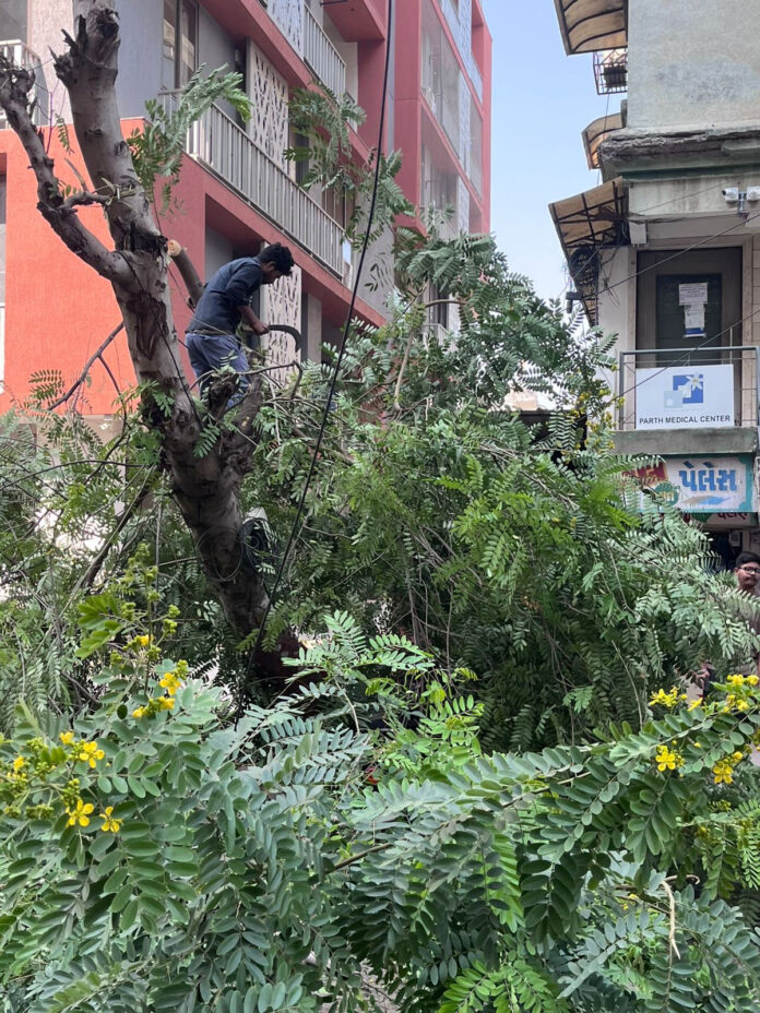 content_image_66cc207b-2e33-4edc-af05-bbf79b6bb90b