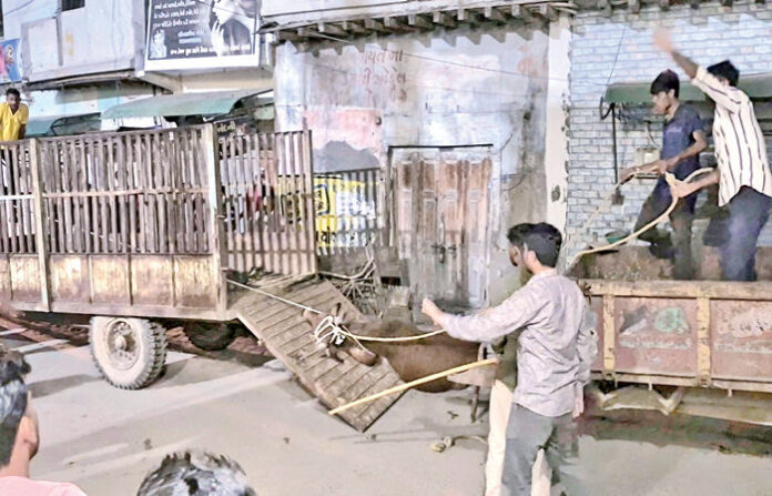 content_image_7af5828d-9a77-4738-b902-0e8948e04e02