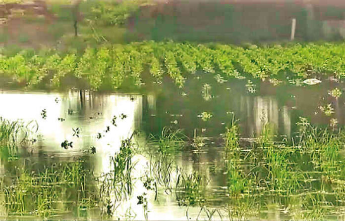 content_image_7b0db6c3-5e6d-4ca4-8276-e0071e1b40fb