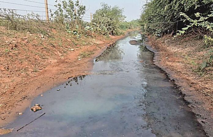 content_image_7ba0800b-04c4-48ad-85ea-3f7d8672a89e