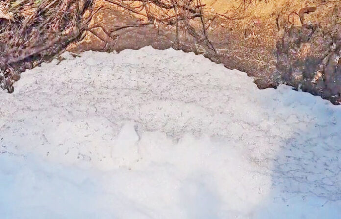 content_image_92985edf-b498-4b05-97d2-5e4bd4d85aa6