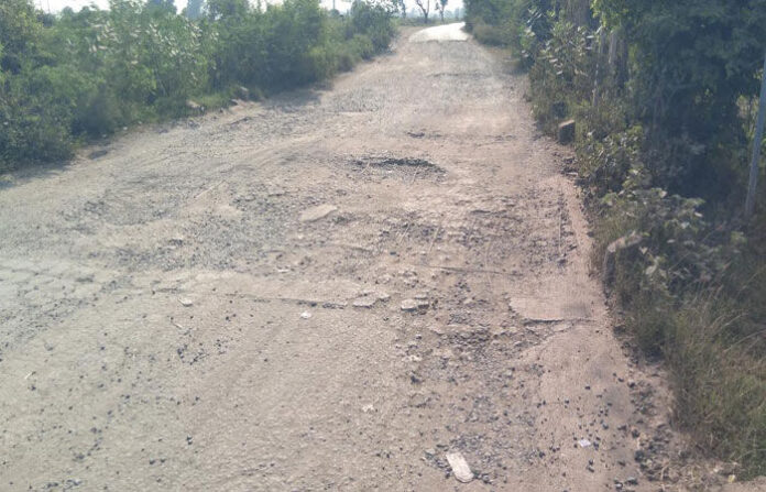 content_image_968bf75c-353e-4e5b-9218-e94e87aa3093