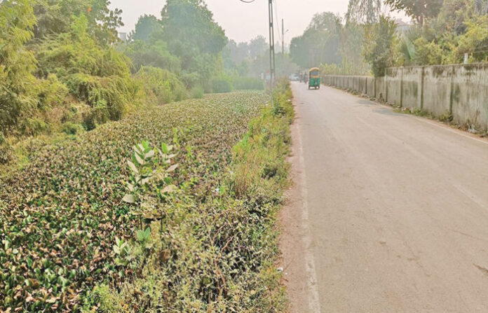 content_image_982d71c1-f7af-4387-9af6-09addb452eb4