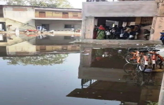 content_image_9ae6743d-c1a4-4e6e-abb8-15eba10a98a2