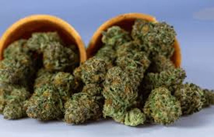 content_image_9ce60d4c-e217-4abd-b1fe-2e910afd5c90