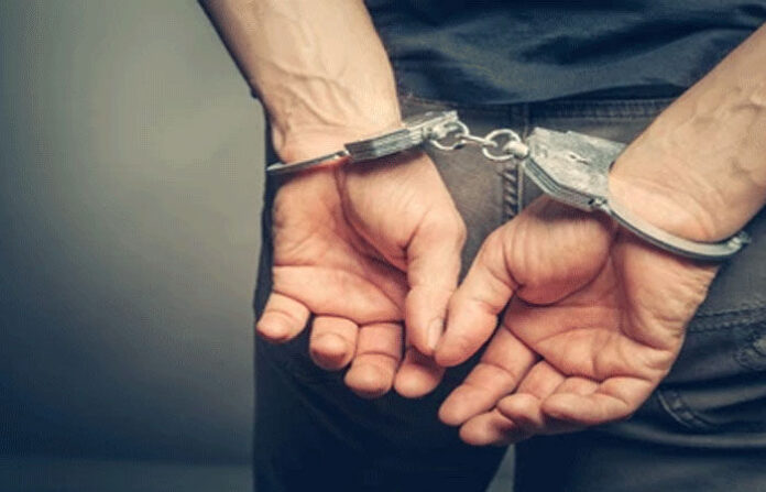 content_image_a9a1e912-5a9a-40c4-b231-6c35b38b7c6a