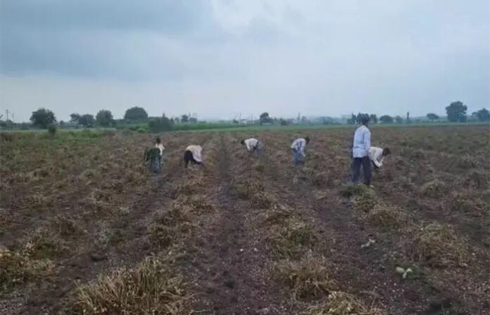 content_image_afe48deb-349c-4ca2-b552-2619ae30c7b5