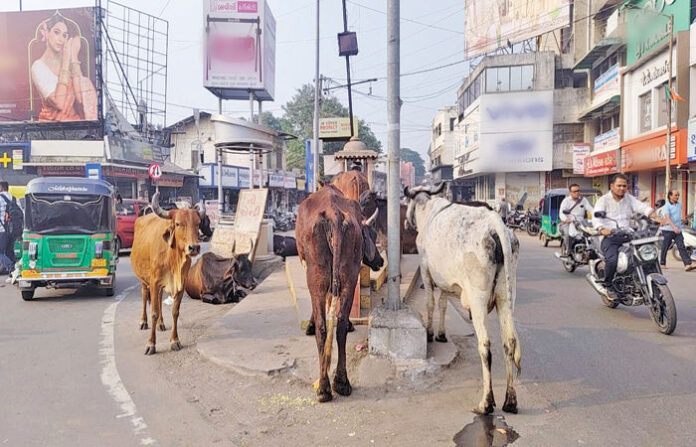 content_image_b170a46b-f6a7-4a40-b25c-4e9300e9b630