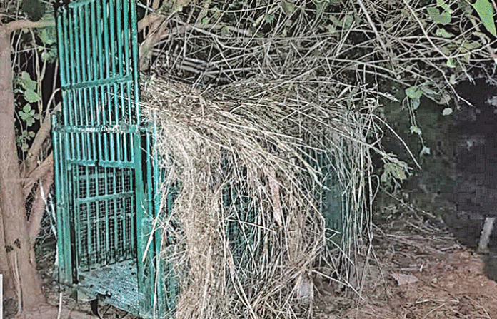 content_image_be081d40-c0a1-48fd-a454-a149a6bc378a