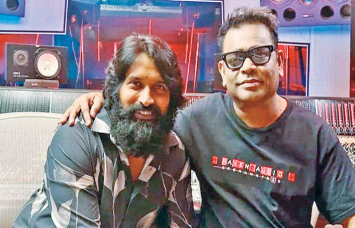 content_image_c4972709-b07e-4a79-9c4a-bdbef1a31d2d