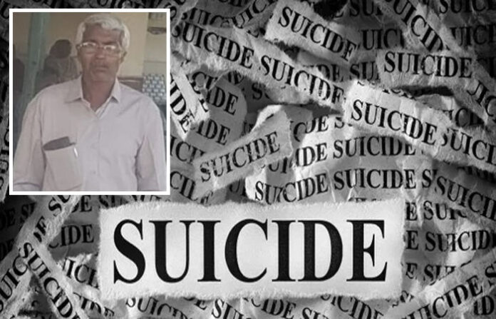 content_image_dfd28c73-d651-4e54-9a99-91952fd2b855