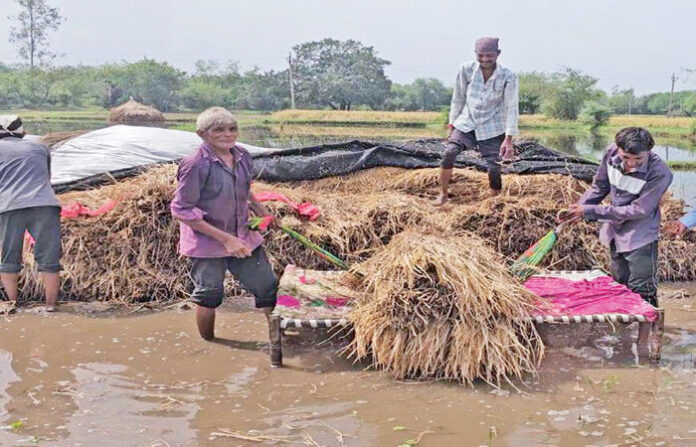 content_image_f0c46b8f-3954-40bf-95eb-aaa103b4115b