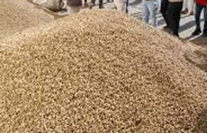 content_image_f4a3d887-97a6-4aa7-b260-d61934fb096f