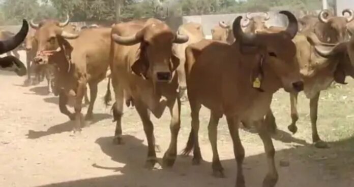 da22551d-3c3c-468d-9986-f3f3d4aa2183