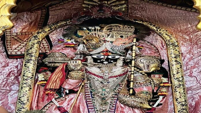 e2nN5T5rcTHLjz4Nx6AD5ujX0Q8v7l7gDLrrKkEL