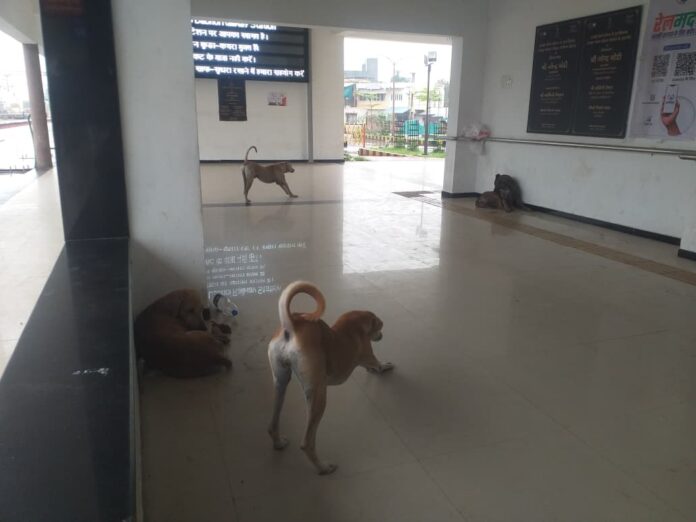 f8198891-935e-4d91-ab9c-b675cc488575